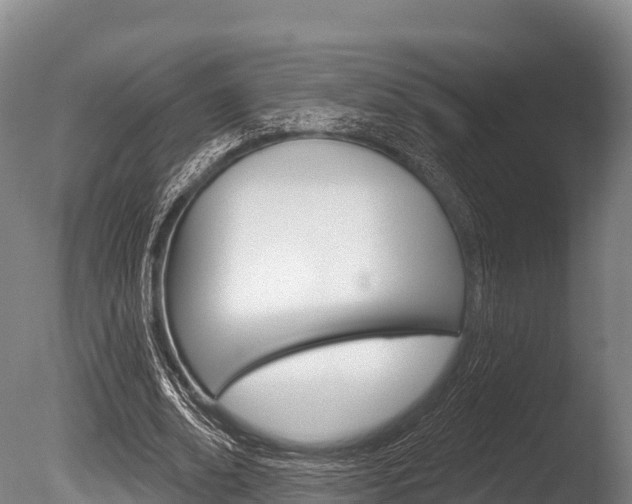 X0000086070678200703231014