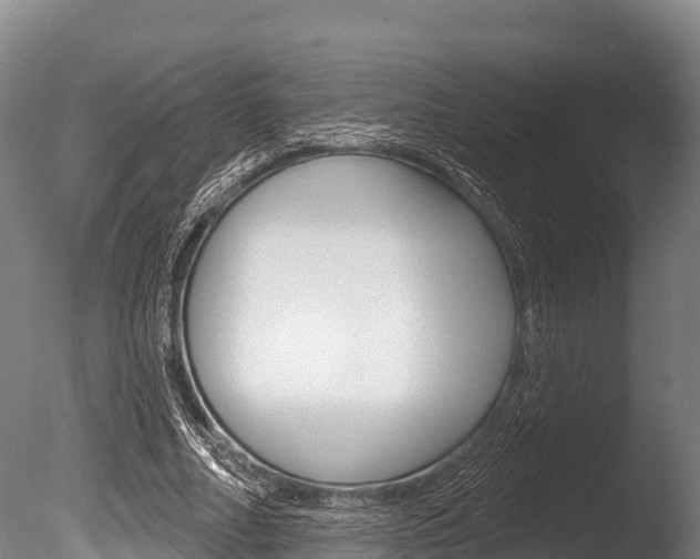 X0000086070682200703231014