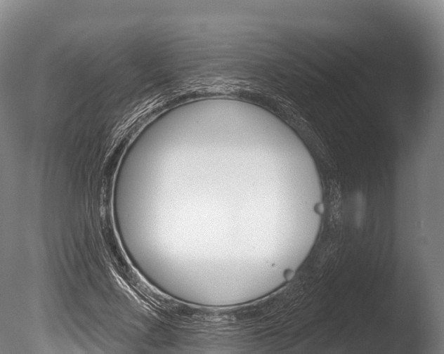 X0000086070683200703231014