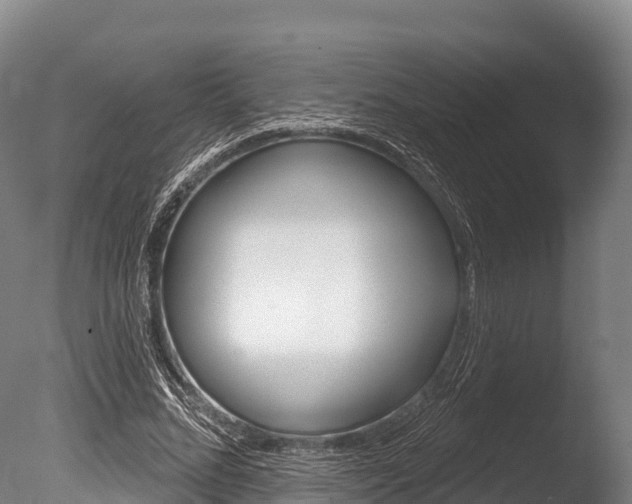 X0000086070684200703231014