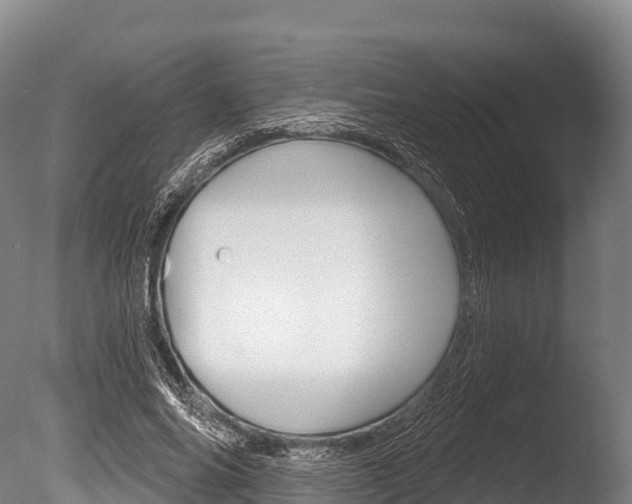 X0000086070686200703231014
