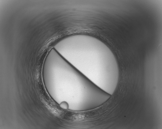 X0000086070687200703231014