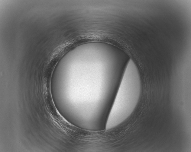 X0000086070688200703231014