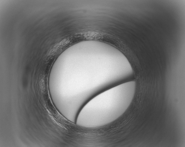 X0000086070690200703231014