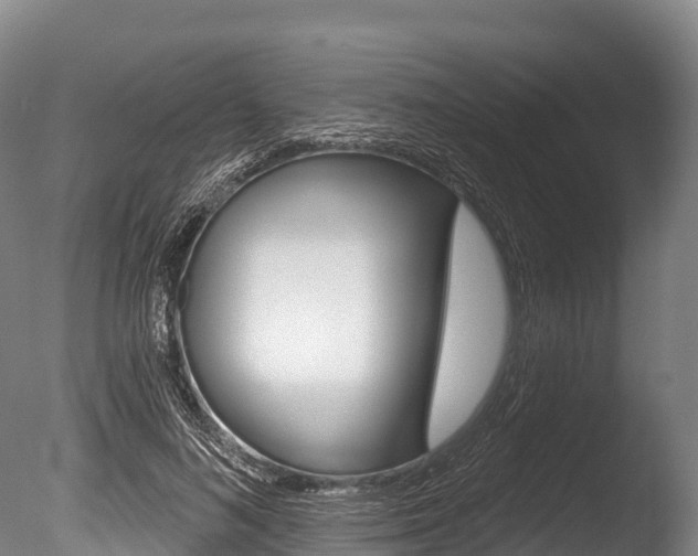 X0000086070692200703231014