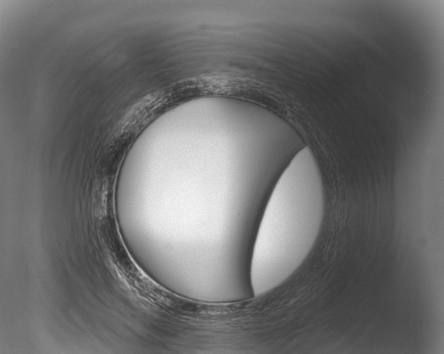 X0000086070694200703231014
