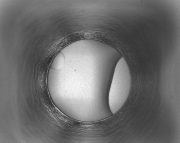 X0000086070698200703231014