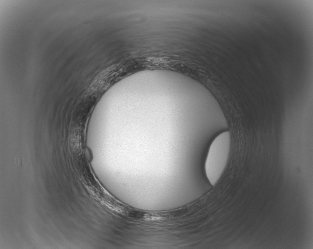 X0000086070706200703231014