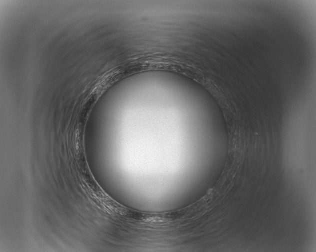 X0000086070708200703231014