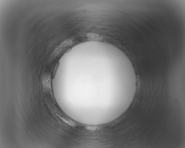 X0000086070713200703231013