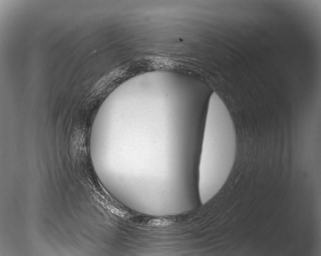 X0000086070714200703231013
