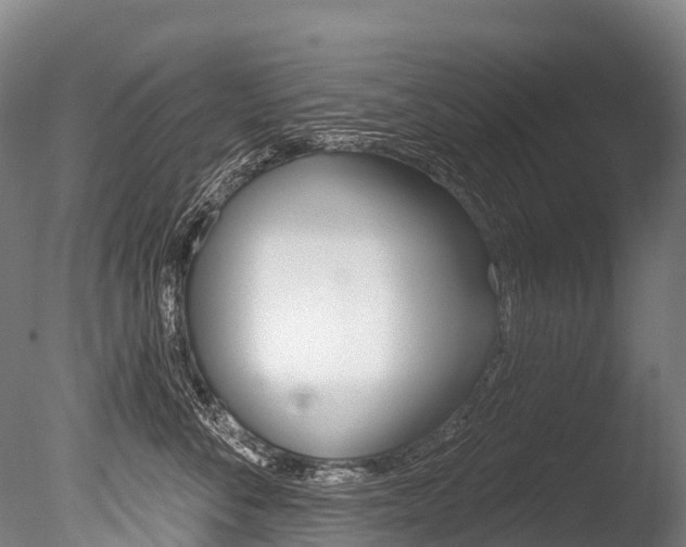 X0000086070716200703231013