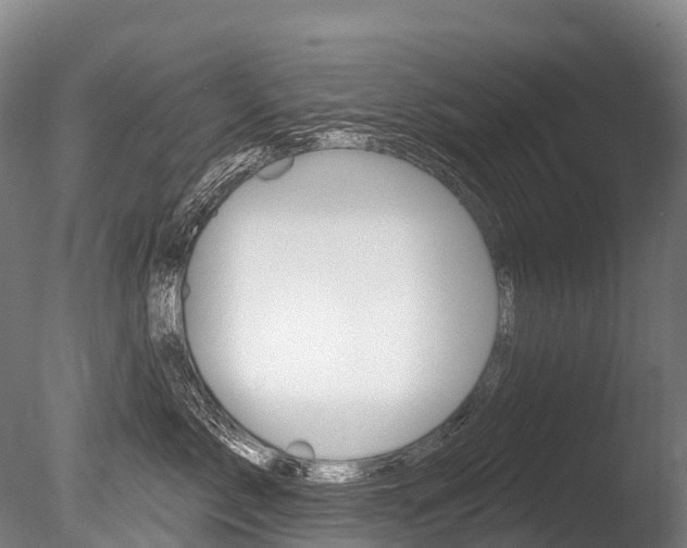 X0000086070717200703231013