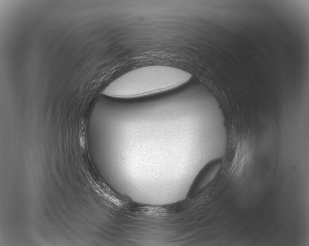 X0000086070719200703231013