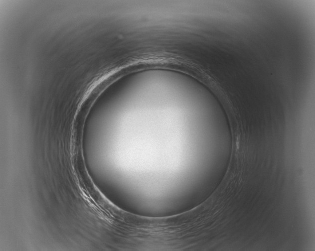 X0000086070724200703231013