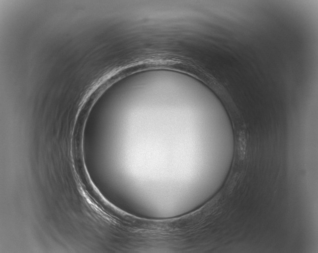 X0000086070726200703231013