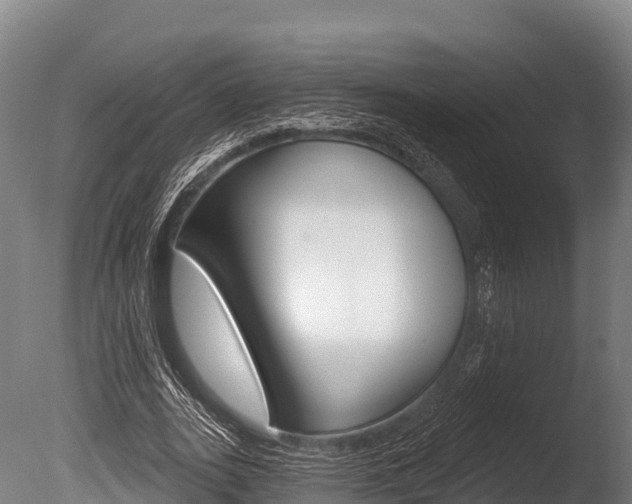 X0000086070727200703231013