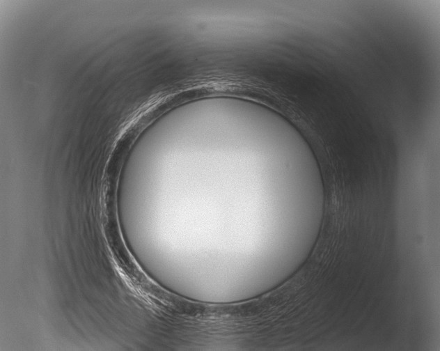 X0000086070730200703231013