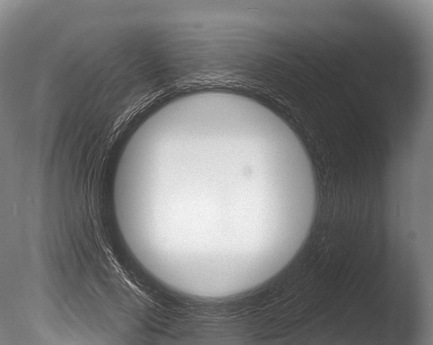 X0000086070740200703231013