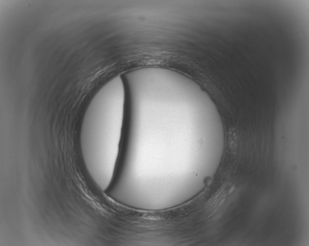 X0000086070741200703231013