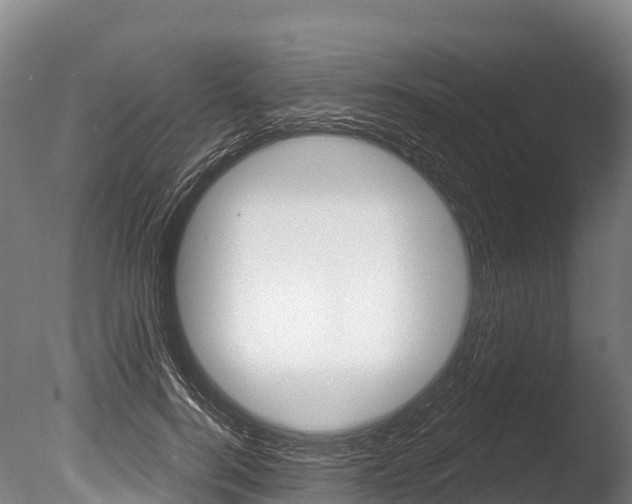 X0000086070744200703231013