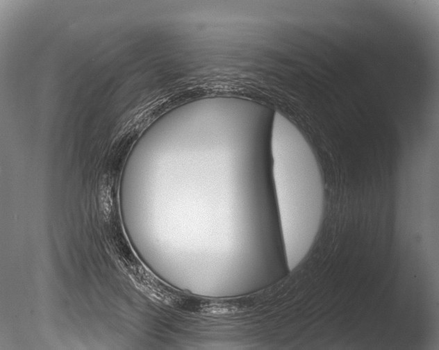 X0000086070746200703231013