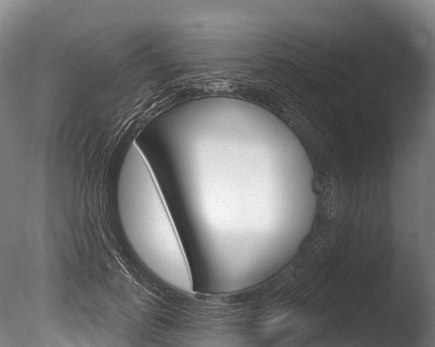 X0000086070747200703231013