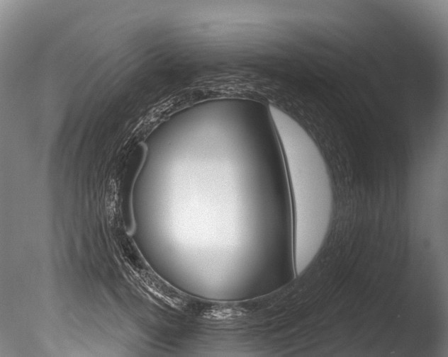X0000086070752200703231013