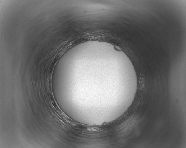 X0000086070753200703231013