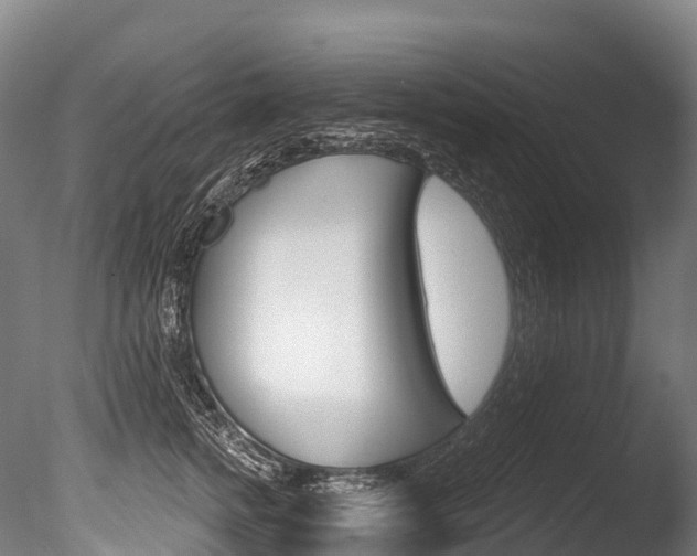 X0000086070758200703231013