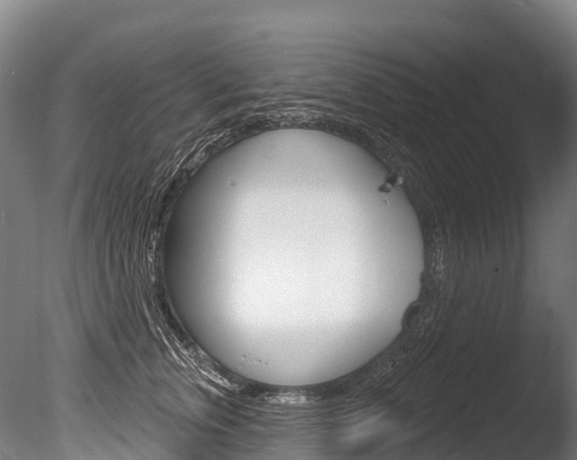 X0000086070759200703231013