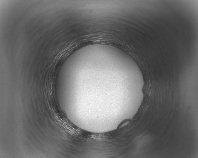 X0000086070763200703231013
