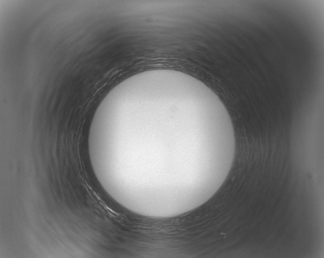 X0000086070764200703231013