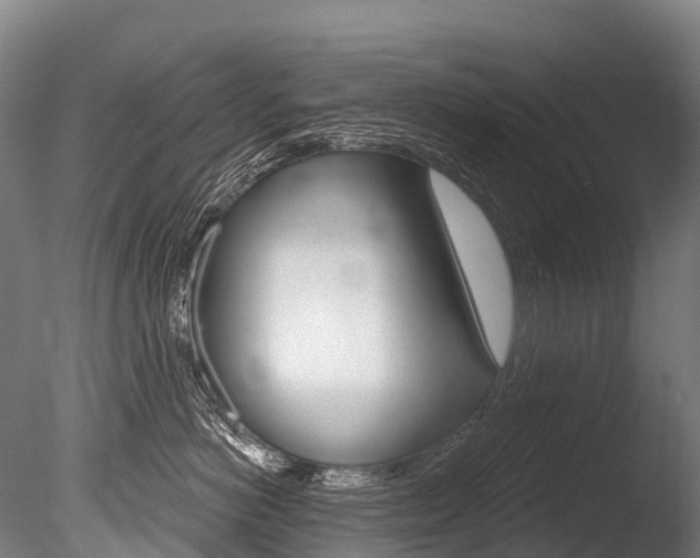 X0000086070766200703231013