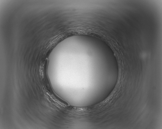 X0000086070768200703231013