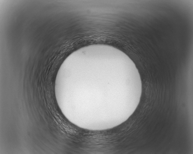 X0000086070769200703231012