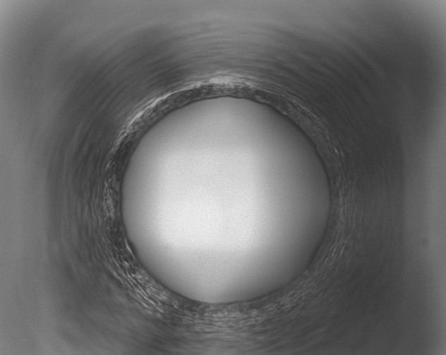 X0000086070776200703231012
