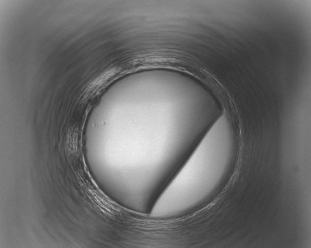 X0000086070777200703231012