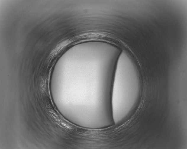 X0000086070778200703231012