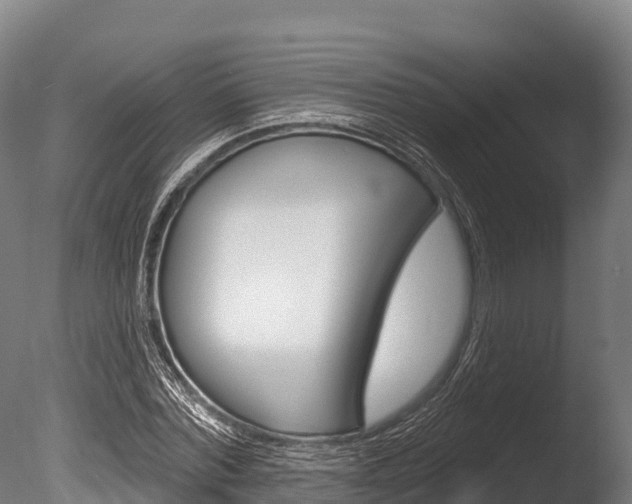 X0000086070780200703231012