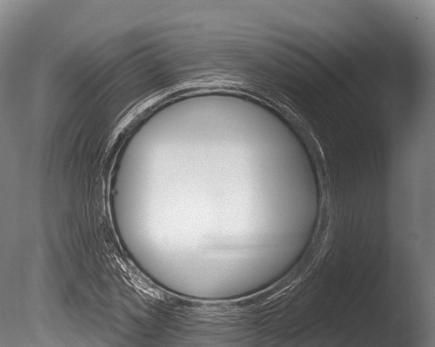 X0000086070781200703231012
