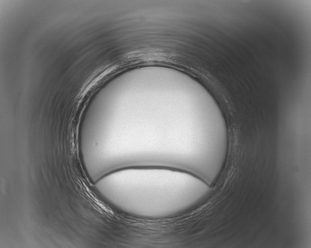 X0000086070782200703231012