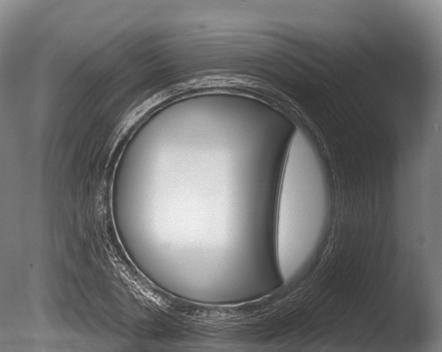 X0000086070786200703231012