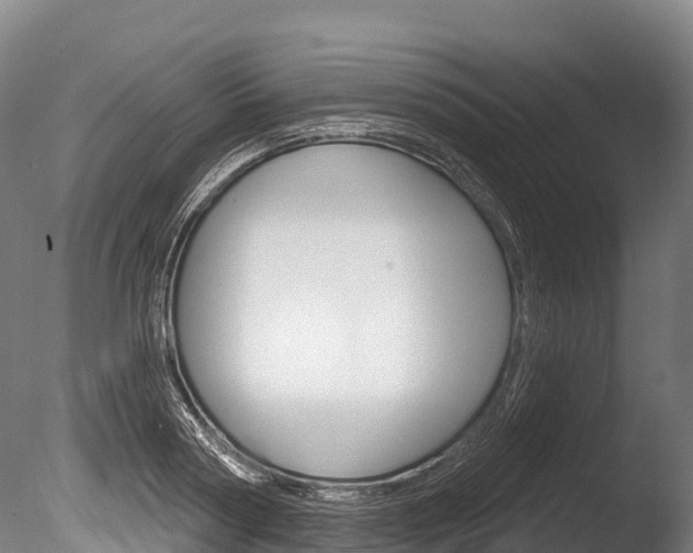 X0000086070794200703231012