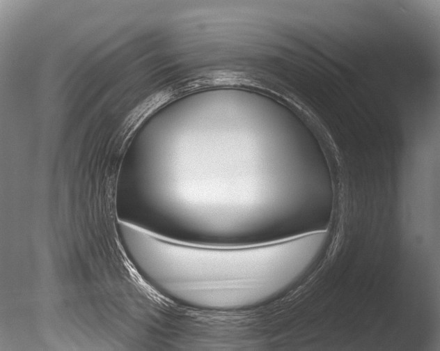 X0000086070801200703231012