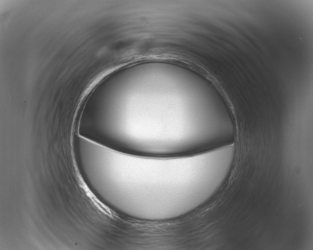 X0000086070803200703231012