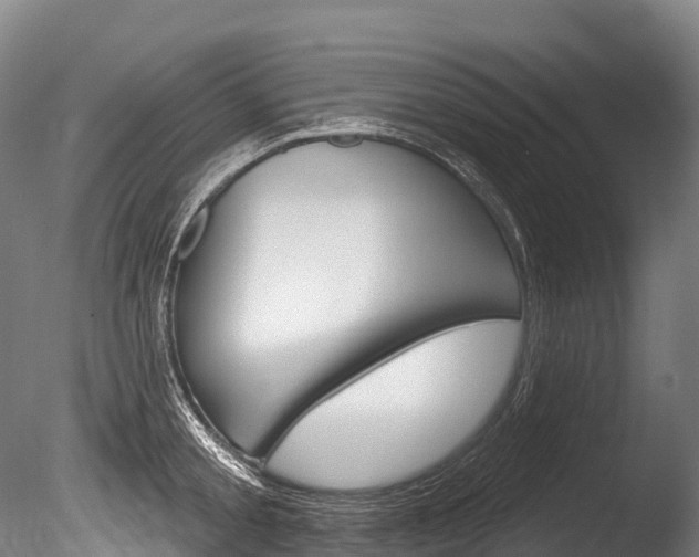 X0000086070805200703231012