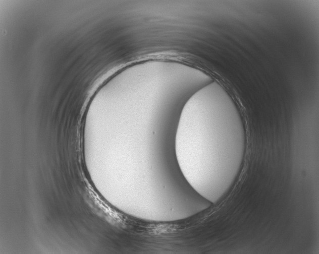 X0000086070808200703231012