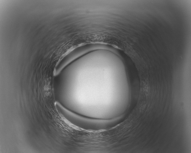 X0000086070818200703231011