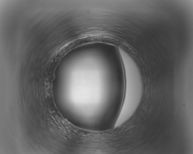 X0000086070822200703231011